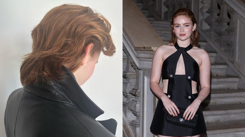 Image divisée de Sadie Sink avec des coiffures hirsutes ressemblant à un mulet