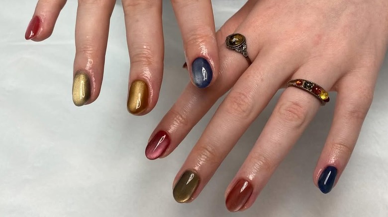 Mélange et assortiment d'ongles œil de chat