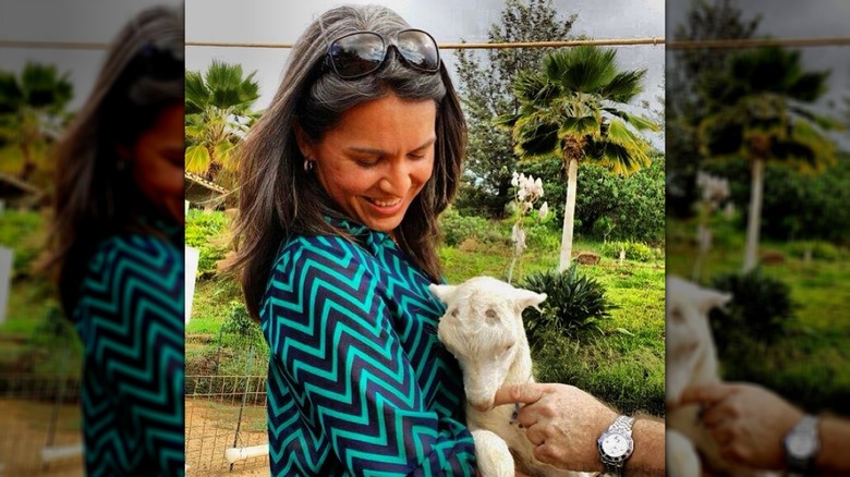Tulsi Gabbard tenant un chevreau en décembre 2013