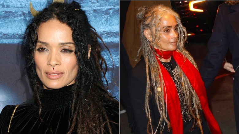 Images côte à côte de Lisa Bonet
