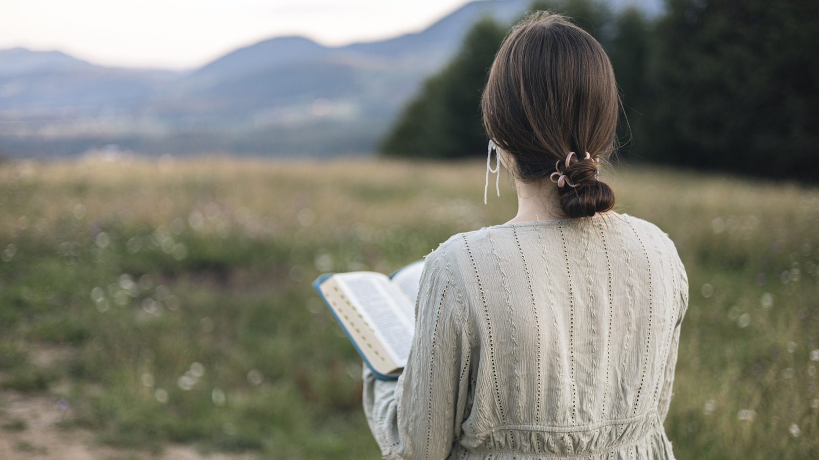 4 livres qui ont beaucoup à dire sur le phénomène Tradwife