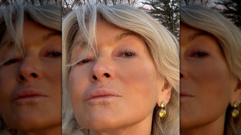 Martha Stewart fait la moue pour un selfie