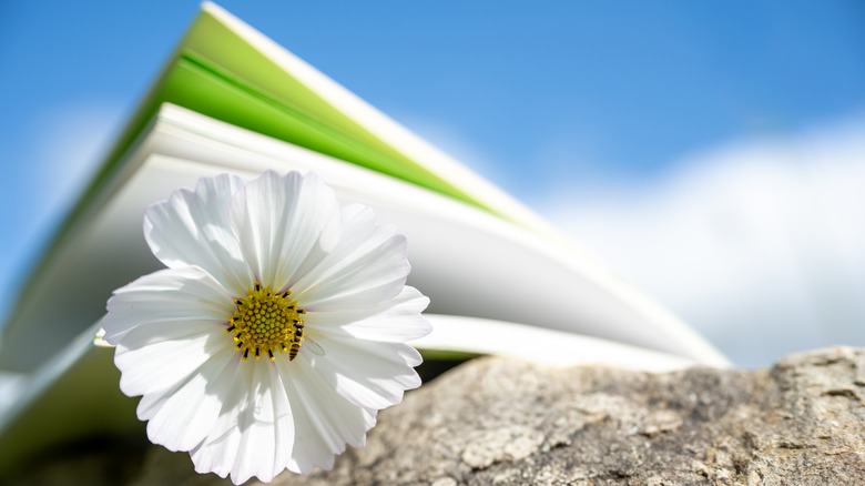 Livre avec fleur et abeille