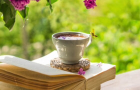 5 des meilleurs livres de fiction sur les abeilles qui ont obsédé les utilisateurs de Goodreads