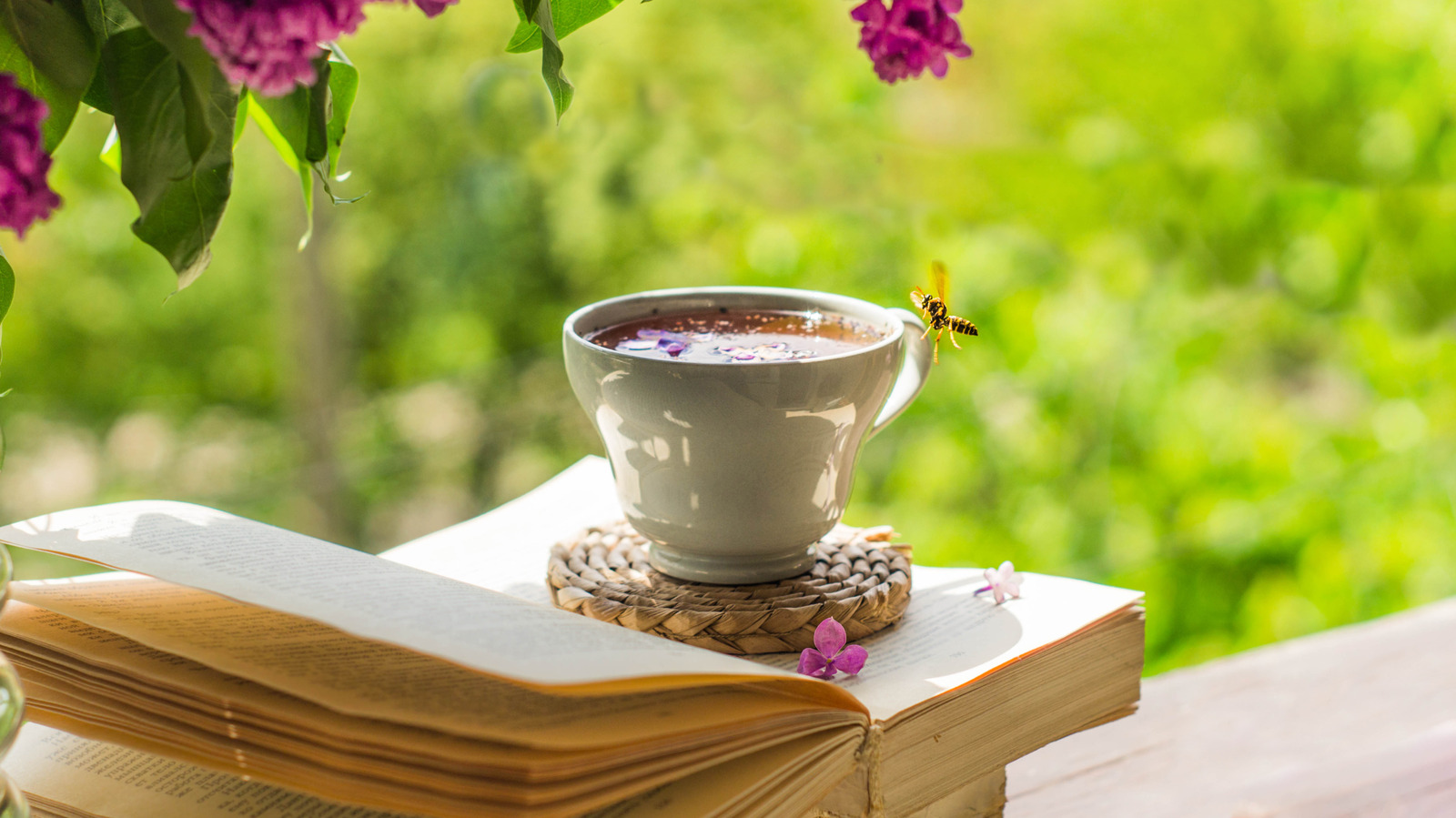 5 des meilleurs livres de fiction sur les abeilles qui ont obsédé les utilisateurs de Goodreads