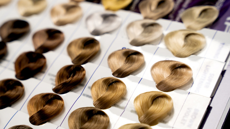Close-up de boucles d’échantillons de couleurs de cheveux