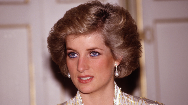 La princesse Diana photographiée en 1988