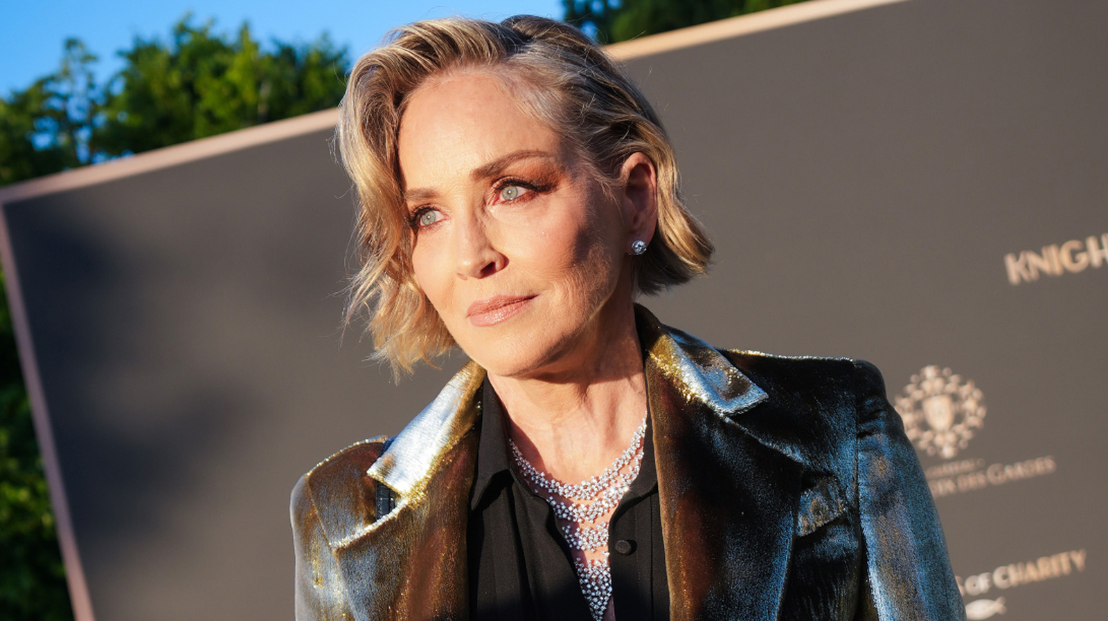 Sharon Stone est l'inspiration parfaite pour adopter subtilement vos cheveux gris