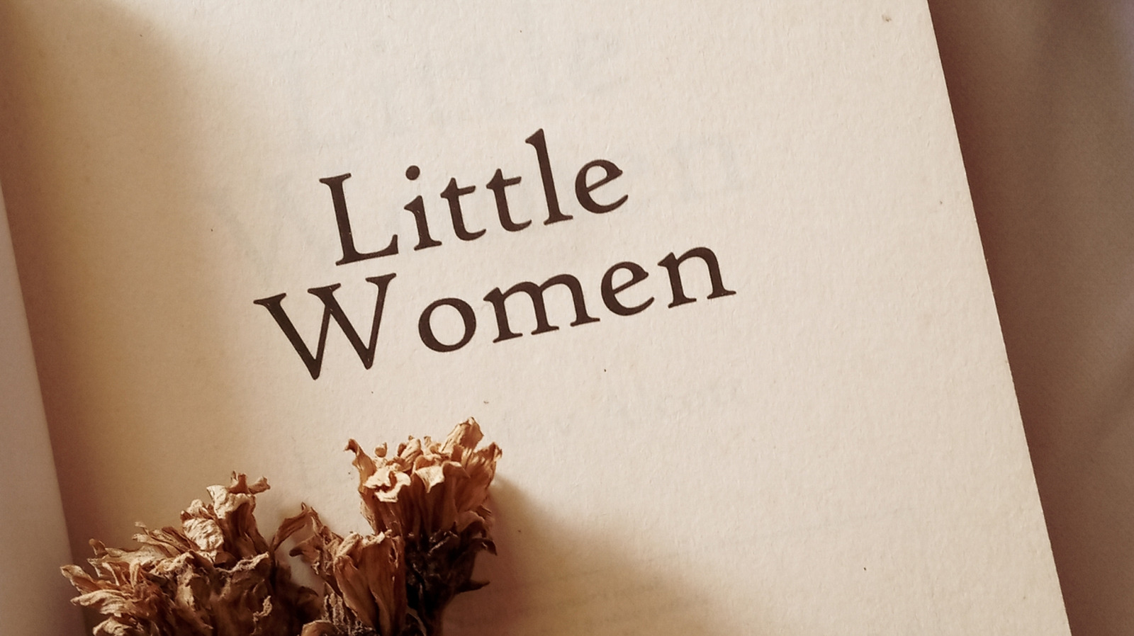 5 des meilleurs livres de Louisa May Alcott qui ne sont pas des petites femmes