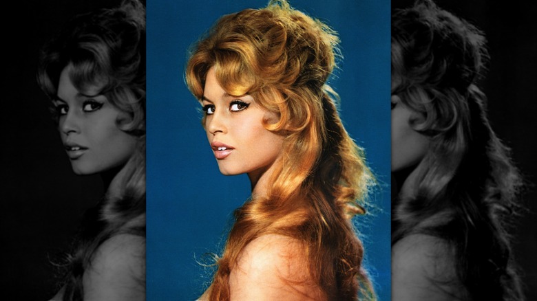 Un portrait non daté de Brigitte Bardot