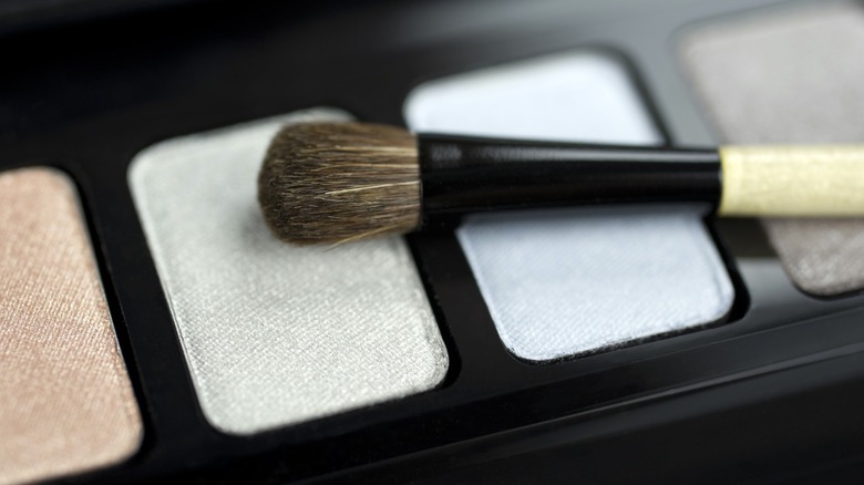 Un pinceau posé sur une palette avec un fard à paupières blanc chatoyant