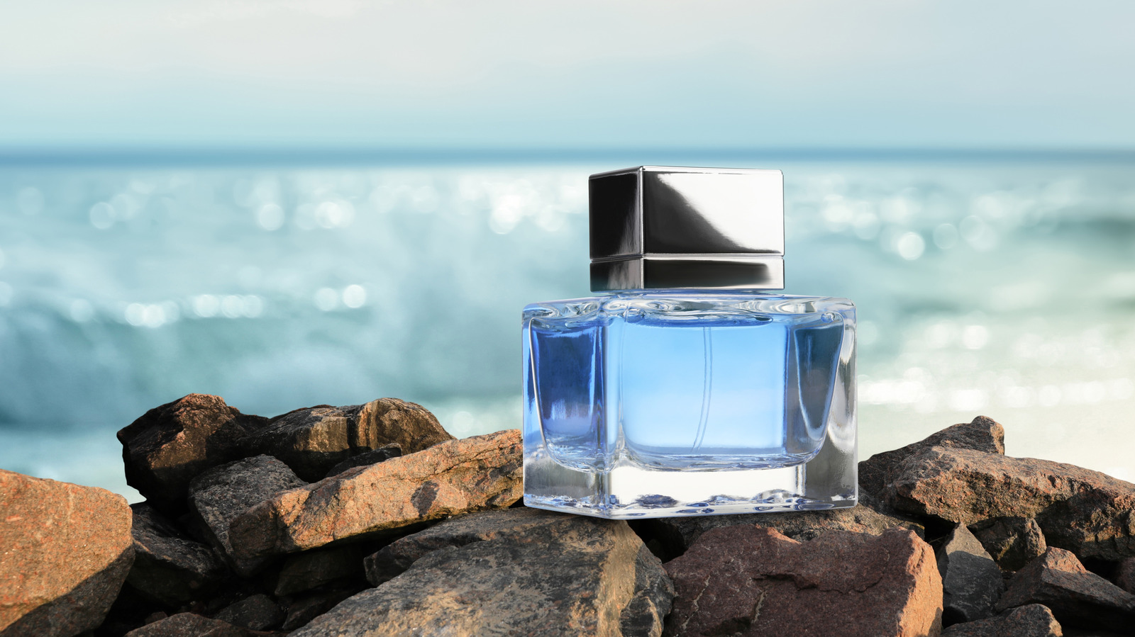 Que sont les parfums aquatiques ? Le type de parfum parfait pour l’été, expliqué
