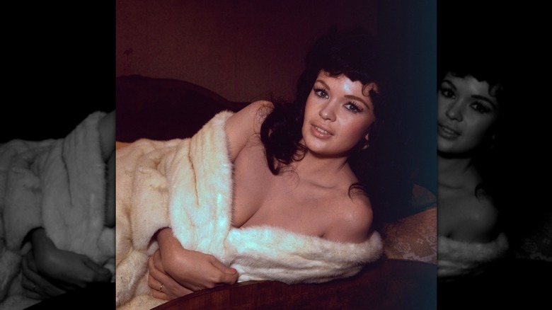 Photo de studio de Jayne Mansfield en 1965