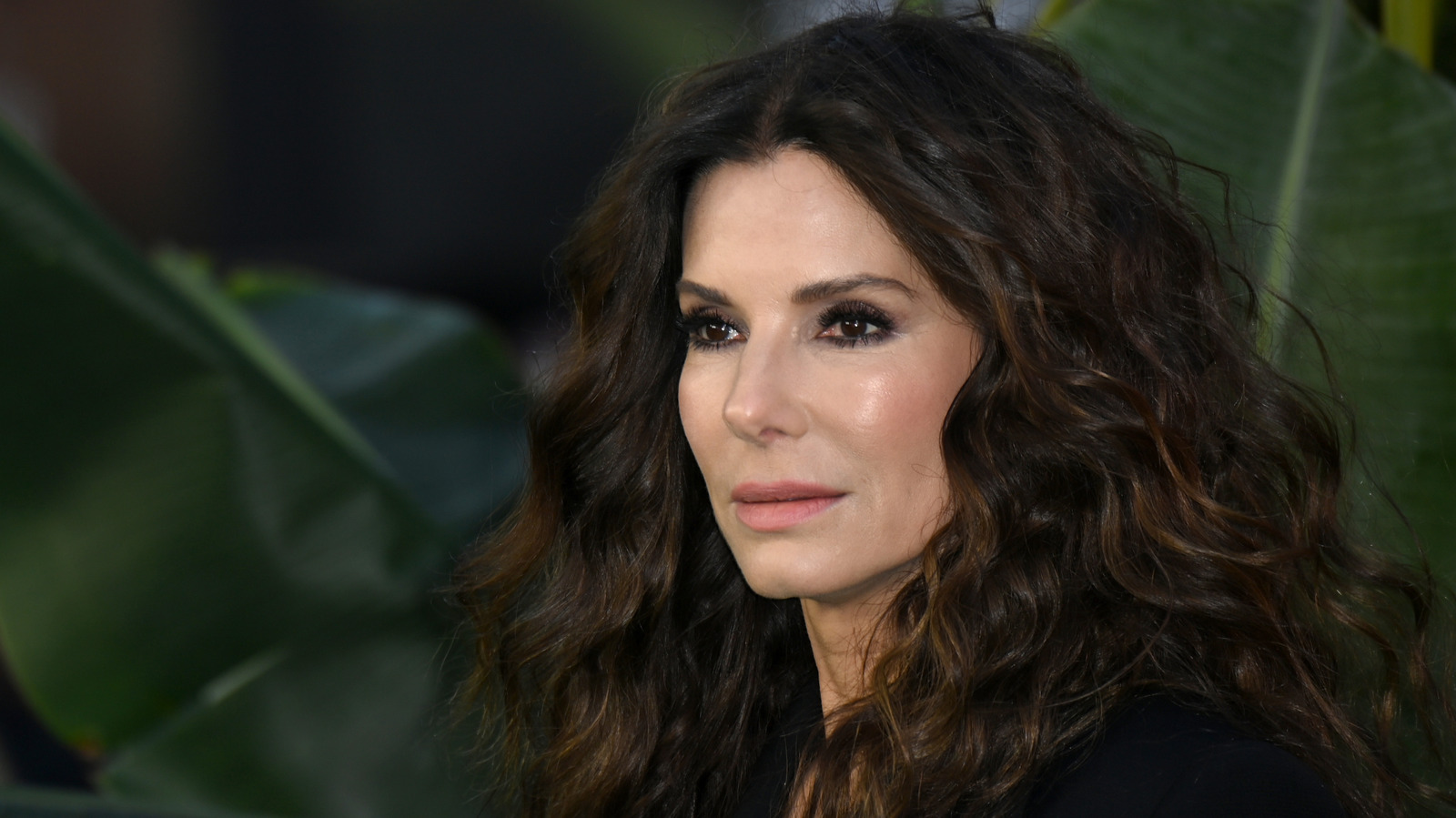 Citation du jour par Sandra Bullock : "Les personnes que je trouve les plus belles sont celles qui..."