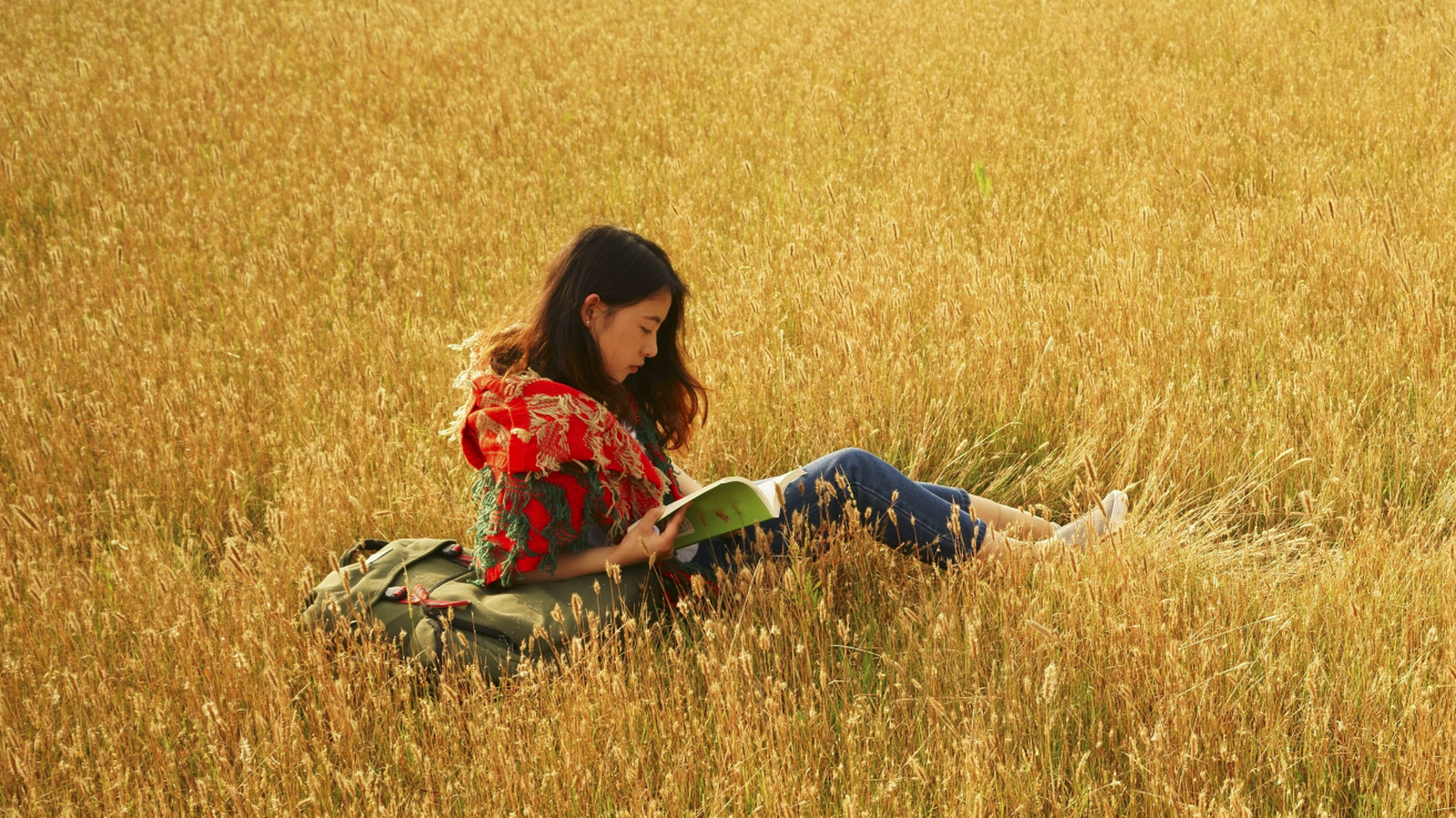 5 livres à ajouter à votre TBR si vous aimez Hallmark's When Calls The Heart