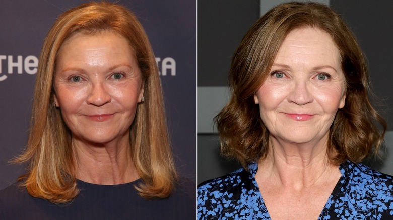 Image divisée de Joan Allen avec une couleur de cheveux rouge striée de blond et un changement de couleur brun foncé plus uniforme