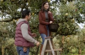 4 romances d'automne à lire si vous êtes obsédé par les films Hallmark