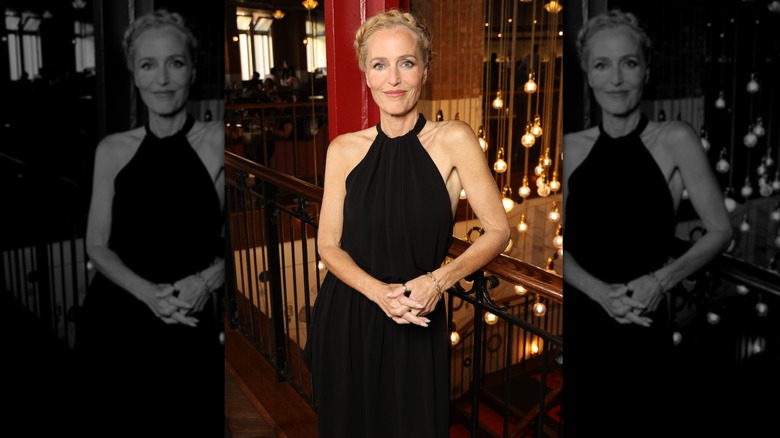 Gillian Anderson photographiée souriante en 2026