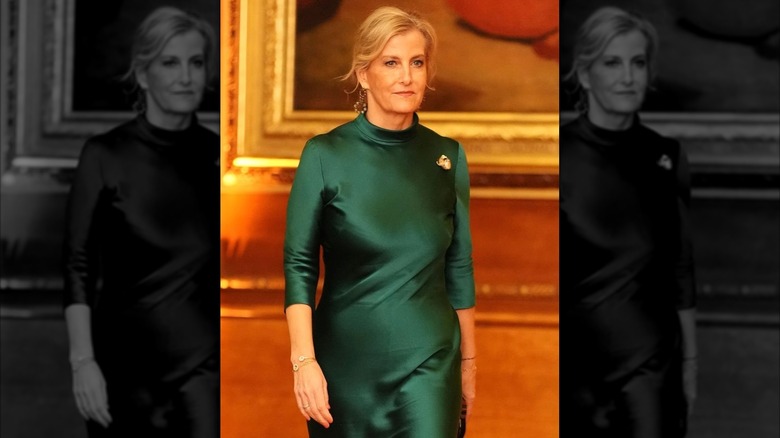 Sophie, duchesse d'Édimbourg photographiée lors d'un événement en janvier 2026