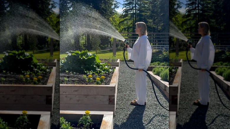 Pamela Anderson utilise un pulvérisateur pour arroser une parcelle de jardin surélevée