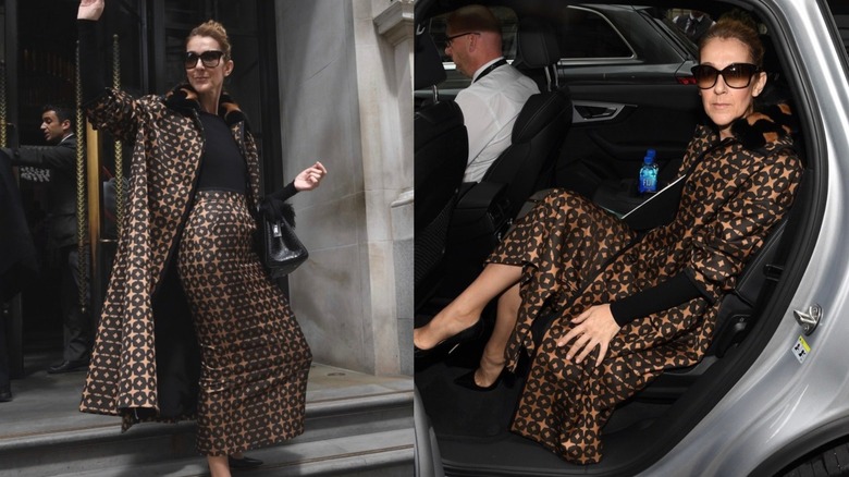 Céline Dion portant Fendi
