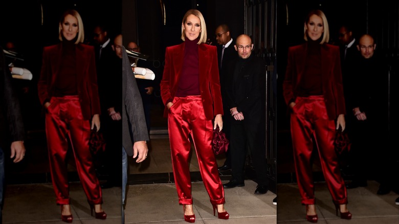 Céline Dion est vue le 14 novembre 2019 à New York.