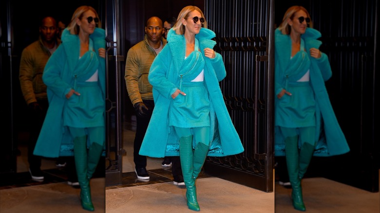 Céline Dion est vue le 13 novembre 2019 à New York.
