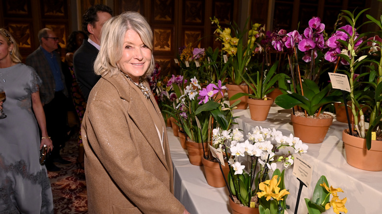 Martha Stewart regarde la caméra tout en étant orientée vers un éventail d'orchidées en pot exposées