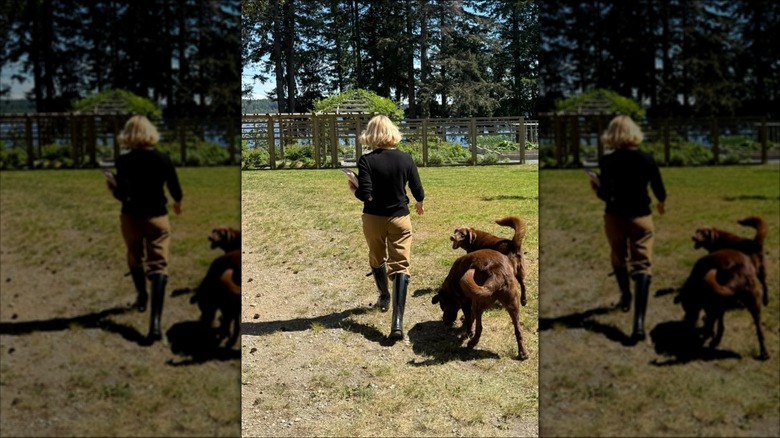Pamela Anderson près de ses chiens