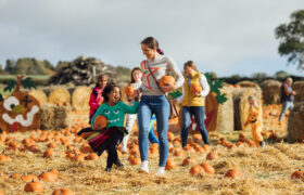 C'est normal de sauter la « tenue Instagram » au Pumpkin Patch