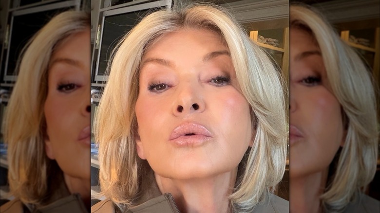 Martha Stewart montre la couleur de ses lèvres dans un selfie sur Instagram