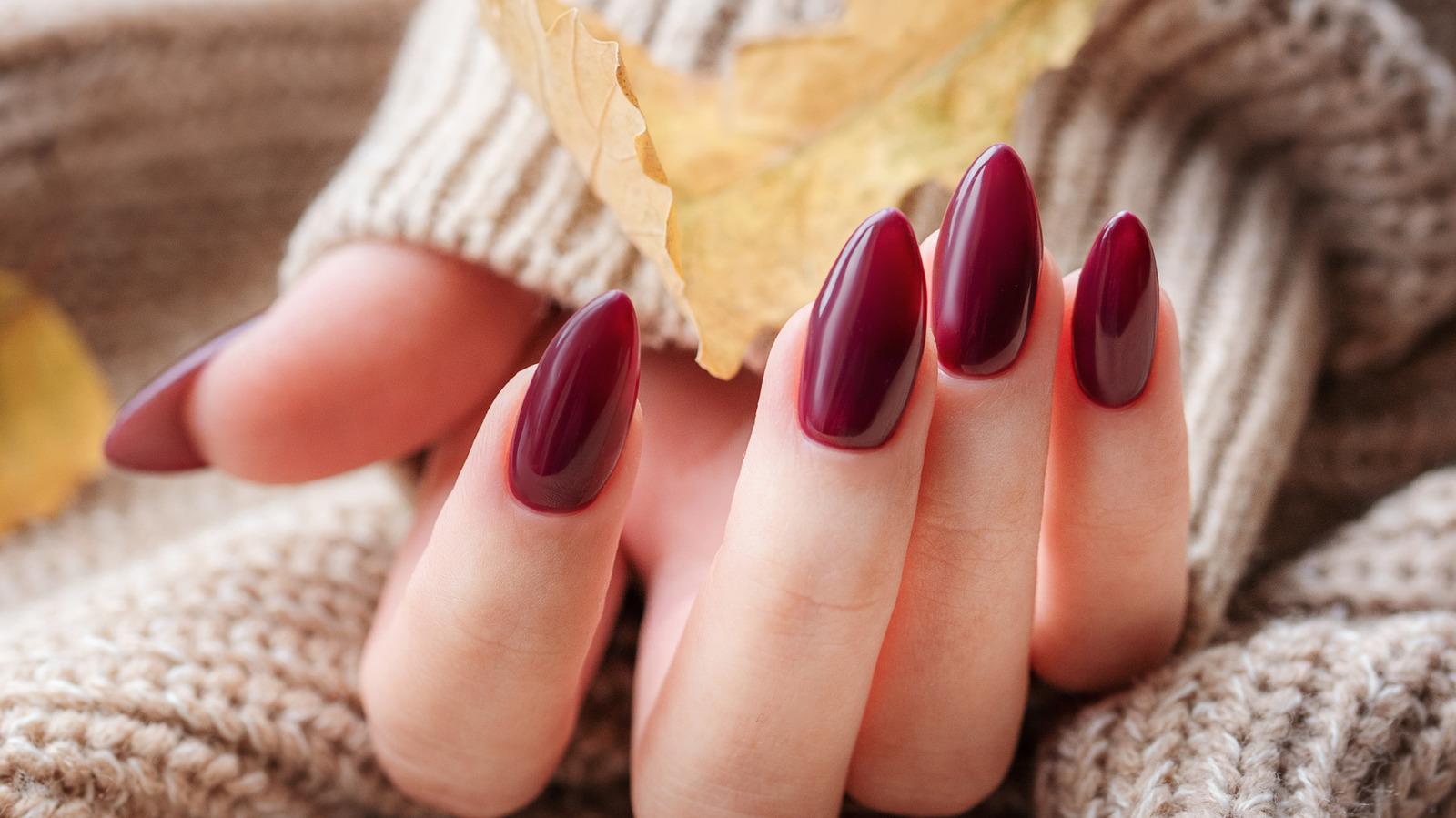 3 tendances manucure automne 2026 qui sont fabuleuses sur les ongles longs