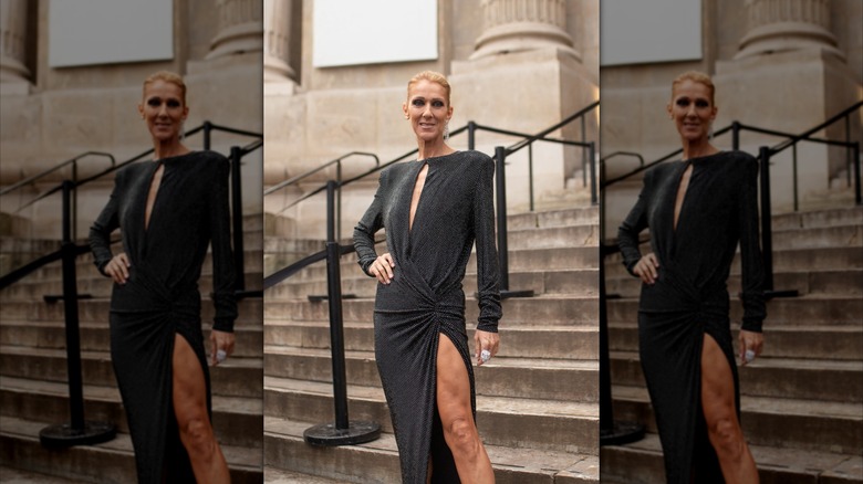 Céline Dion photographiée souriante en 2019
